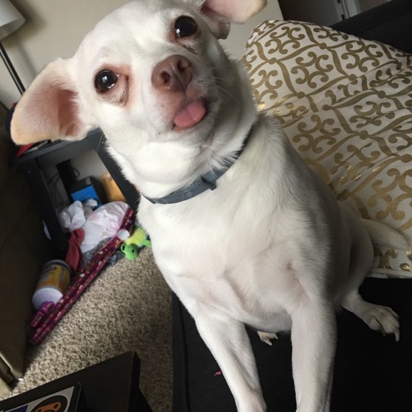 Meet your Posher, Lindsey - Picture 2 of 8